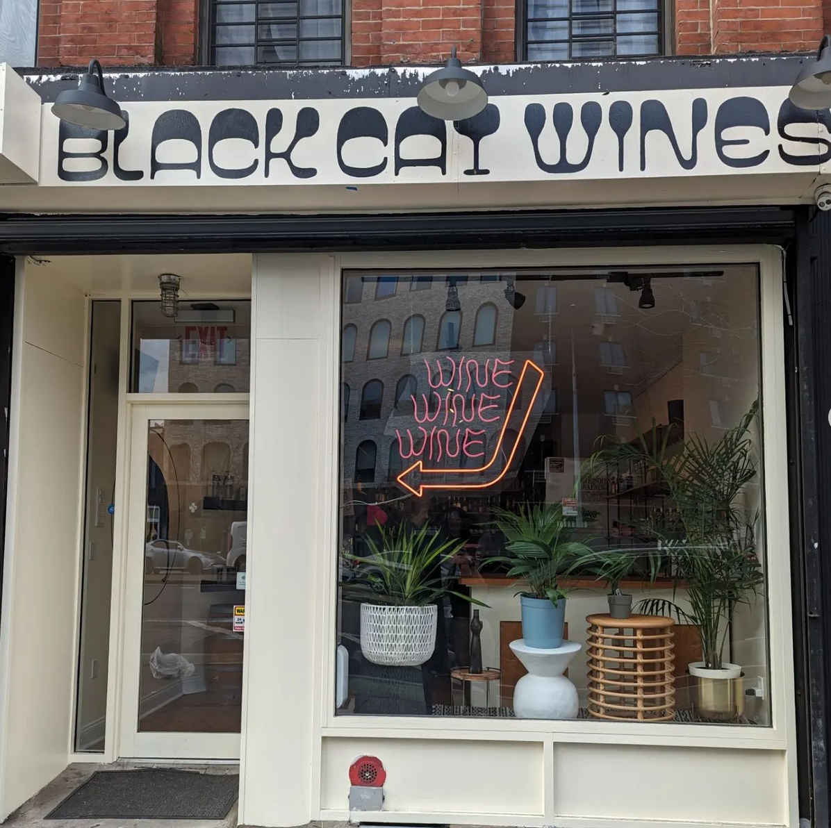 Meet Rocky and Katie, Owners of Black Cat Wines